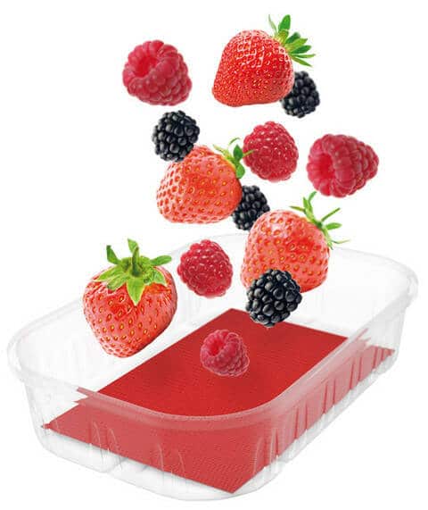 Covor absorbant pentru fructe - diverse formate (10 bucăți)